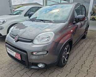 Fiat Panda Gebrauchtwagen