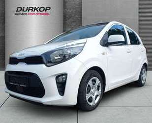 Kia Picanto Gebrauchtwagen