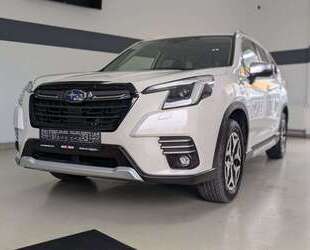 Subaru Forester Gebrauchtwagen