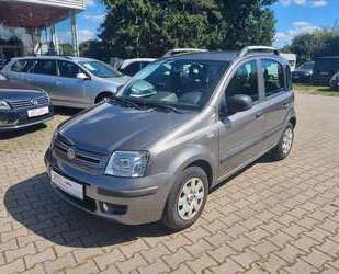 Fiat Panda Gebrauchtwagen