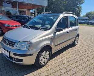 Fiat Panda Gebrauchtwagen