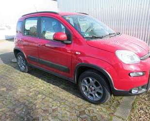 Fiat Panda Gebrauchtwagen