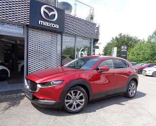 Mazda CX-30 Gebrauchtwagen