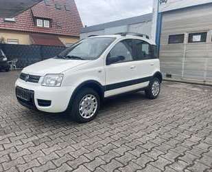 Fiat Panda Gebrauchtwagen