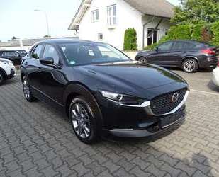 Mazda CX-30 Gebrauchtwagen
