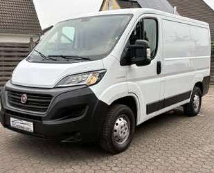 Fiat Ducato Gebrauchtwagen