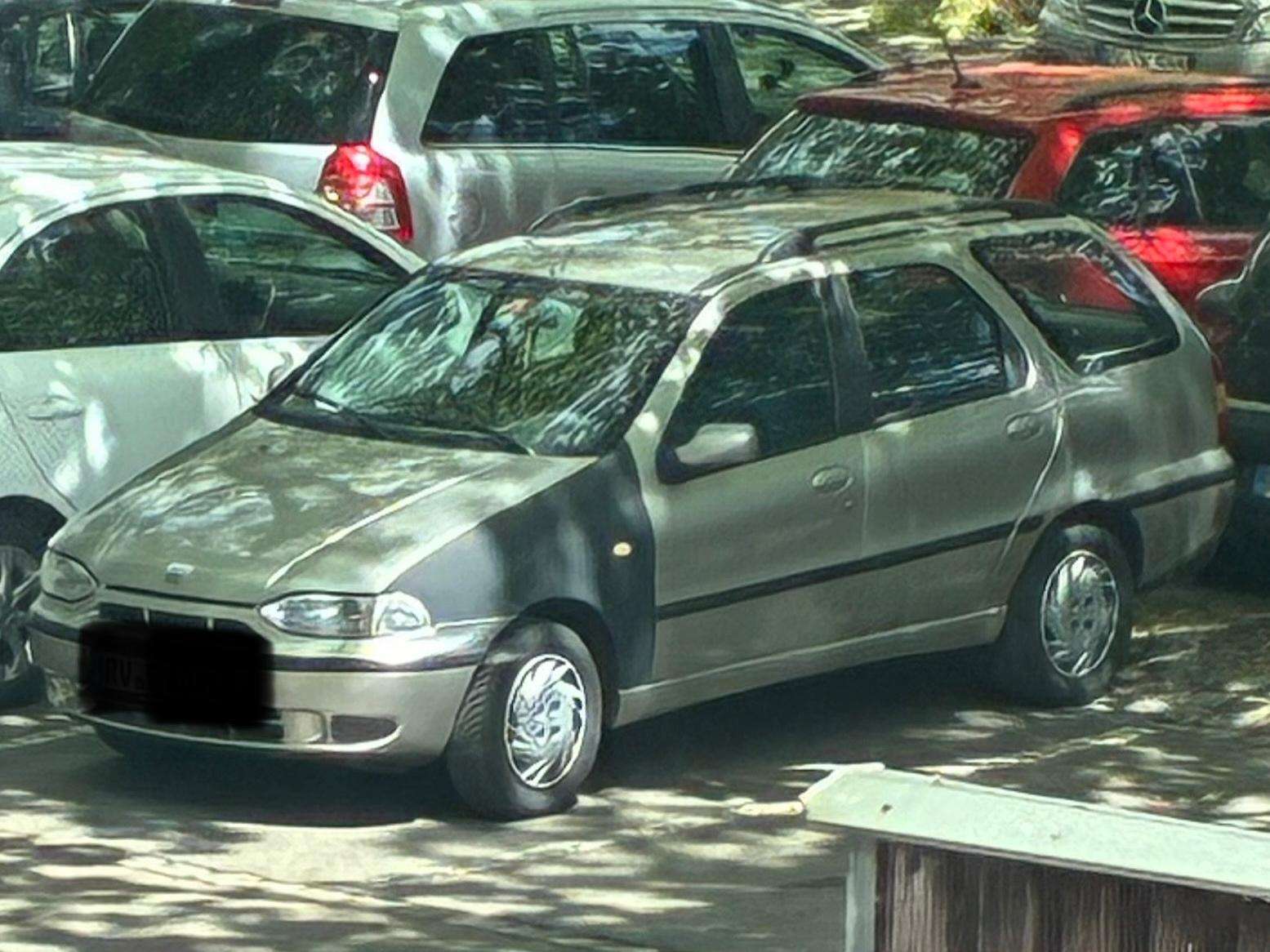 Palio