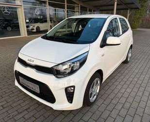 Kia Picanto Gebrauchtwagen