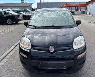 Fiat Panda Gebrauchtwagen