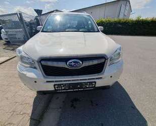 Subaru Forester Gebrauchtwagen