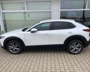Mazda CX-30 Gebrauchtwagen