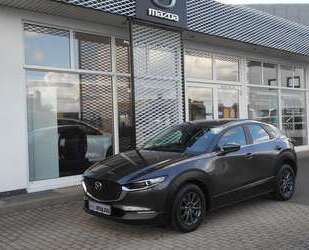 Mazda CX-30 Gebrauchtwagen