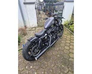 Harley Davidson Iron 883 Gebrauchtwagen