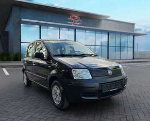 Fiat Panda Gebrauchtwagen