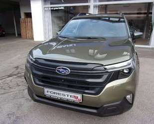Subaru Forester Gebrauchtwagen