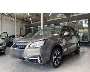 Subaru Forester Gebrauchtwagen