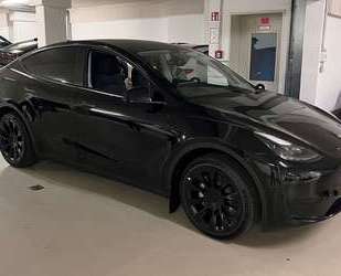Tesla Model Y Gebrauchtwagen