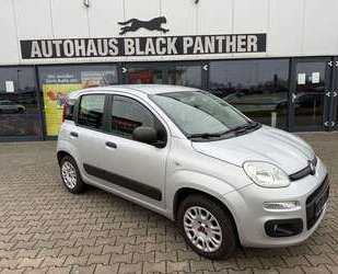 Fiat Panda Gebrauchtwagen