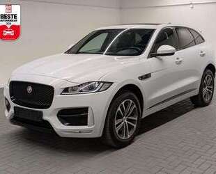 Jaguar F-Pace Gebrauchtwagen