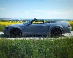 Ford Mustang Gebrauchtwagen