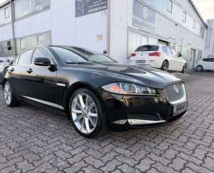 Jaguar XF Gebrauchtwagen