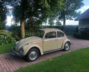 VW Käfer Gebrauchtwagen