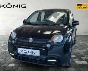 Fiat Panda Gebrauchtwagen