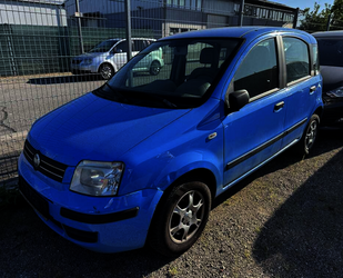 Fiat Panda Gebrauchtwagen