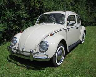 VW Käfer Gebrauchtwagen