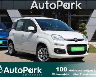 Fiat Panda Gebrauchtwagen