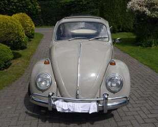 VW Käfer Gebrauchtwagen