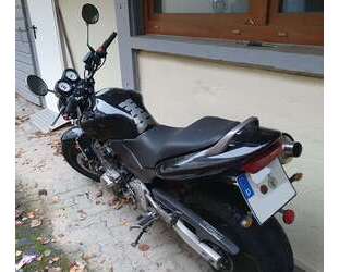 Honda Hornet Gebrauchtwagen