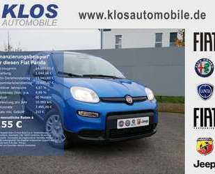 Fiat Panda Gebrauchtwagen