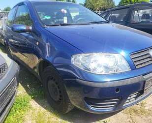 Fiat Punto Gebrauchtwagen