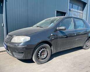 Fiat Punto Gebrauchtwagen