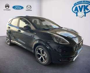 Ford Puma Gebrauchtwagen