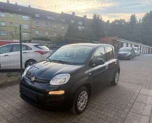 Fiat Panda Gebrauchtwagen