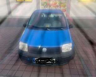 Fiat Panda Gebrauchtwagen