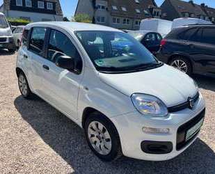 Fiat Panda Gebrauchtwagen