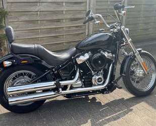 Harley Davidson Softail Gebrauchtwagen
