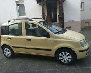 Fiat Panda Gebrauchtwagen