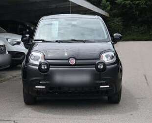 Fiat Panda Gebrauchtwagen