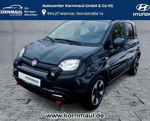 Fiat Panda Gebrauchtwagen