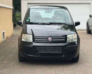 Fiat Panda Gebrauchtwagen