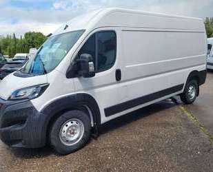 Fiat Ducato Gebrauchtwagen