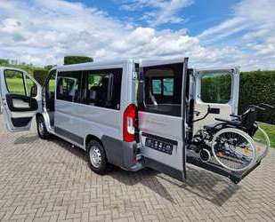 Fiat Ducato Gebrauchtwagen