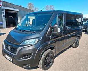 Fiat Ducato Gebrauchtwagen