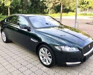 Jaguar XF Gebrauchtwagen