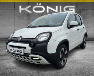 Fiat Panda Gebrauchtwagen