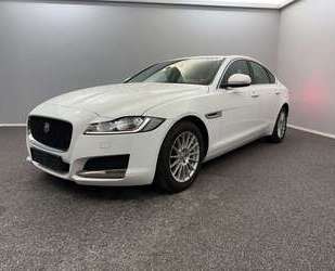 Jaguar XF Gebrauchtwagen